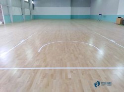 20�������˶�ľ�ذ��ĸ����ӽϻ���