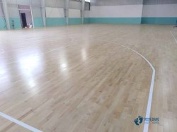 20���˶����ݵذ���Щ���Ӻ�