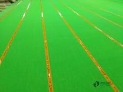 22mm���˶���ľ�ذ�����